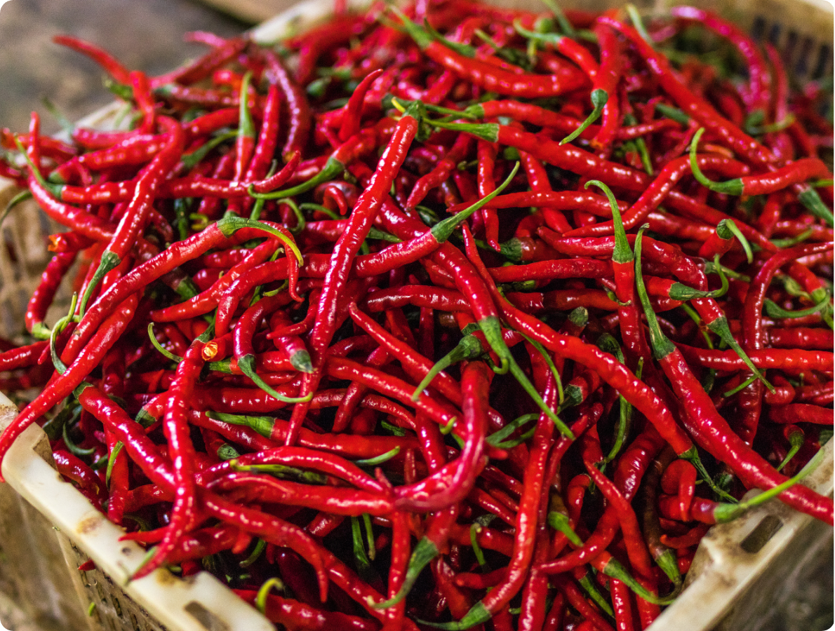 chilli 2